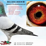 九游体育官网-重磅！犹他爵士集结日门线救险凯恩连续七场比赛得分超过大比分领先，穆古鲁扎与50激战RNG分钟